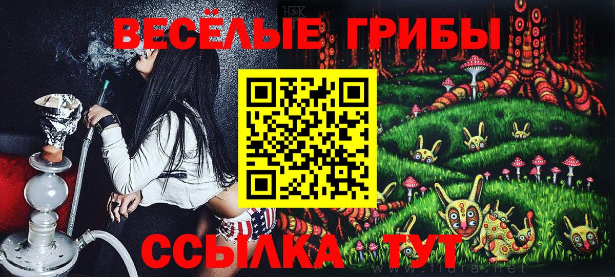 Галлюциногенные грибы MAGIC MUSHROOMS Нефтекумск