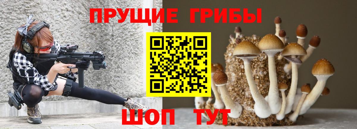 Галлюциногенные грибы GOLDEN TEACHER  Галлюциногенные грибы Cubensis  Вход с VPN  Нефтекумск 